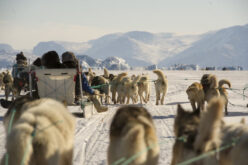 Who will win the race to Greenland?