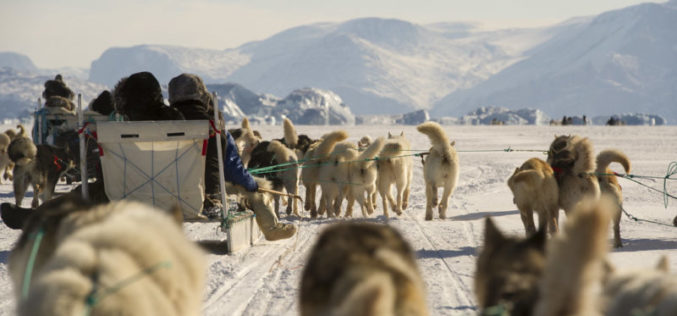 Who will win the race to Greenland?