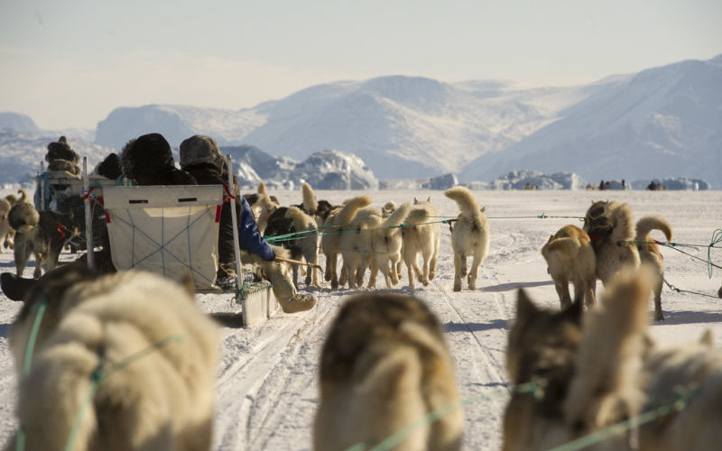 Who will win the race to Greenland?