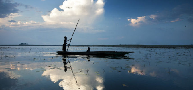 The Curse of the White Elephant: The Pitfalls of Zambia’s Dependence on China