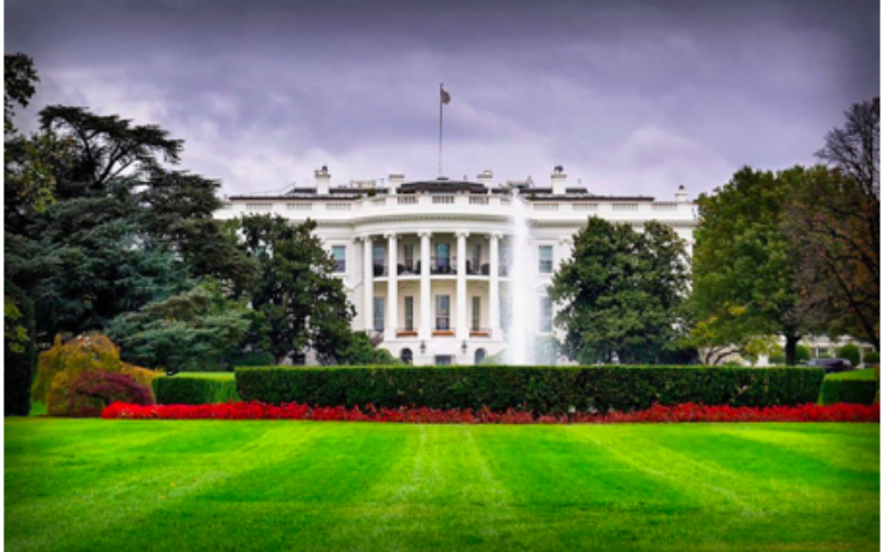 The Influence of COVID-19 on the Future of US Politics at Home and Abroad