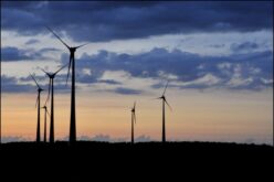 COVID-19 and the green revolution: A new energy order in the making?