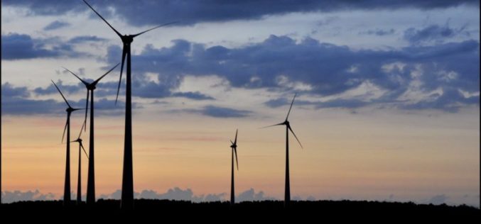 COVID-19 and the green revolution: A new energy order in the making?