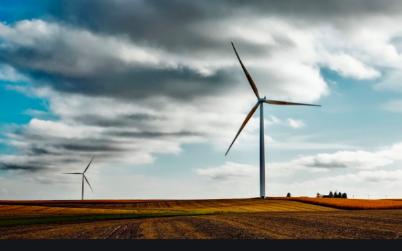 The Bulgarian Energy Market between Subsidies and Challenges