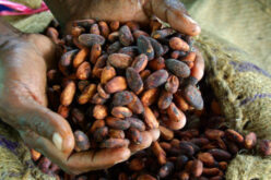 Côte d’Ivoire – Do new EU laws promise sweet success or a bitter aftertaste?