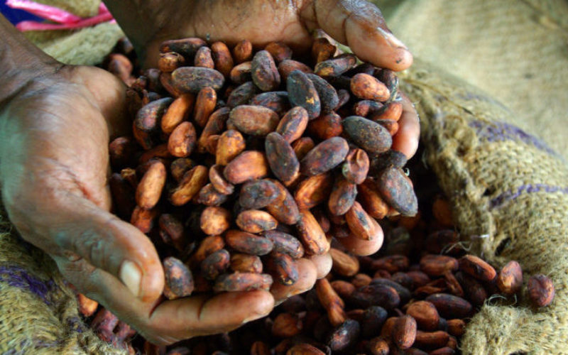 Côte d’Ivoire – Do new EU laws promise sweet success or a bitter aftertaste?