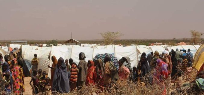 Ethiopia’s Tigray Conflict: A Humanitarian Disaster