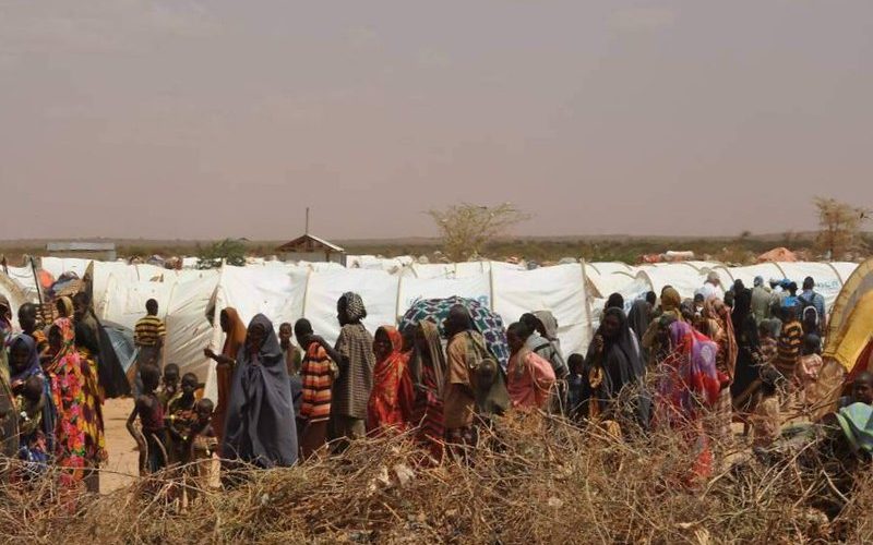 Ethiopia’s Tigray Conflict: A Humanitarian Disaster