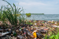 An Ecosystem in Crisis: Environmental Degradation in Venezuela