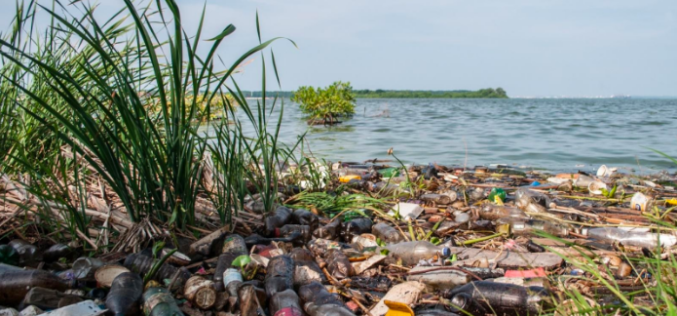 An Ecosystem in Crisis: Environmental Degradation in Venezuela