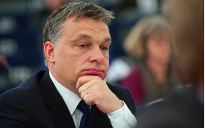 Fidesz-Managed Foundations Assume Control of Hungary’s Higher Education System