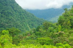 Hope for Growth? The Potential and Pitfalls of Ecotourism in Colombia