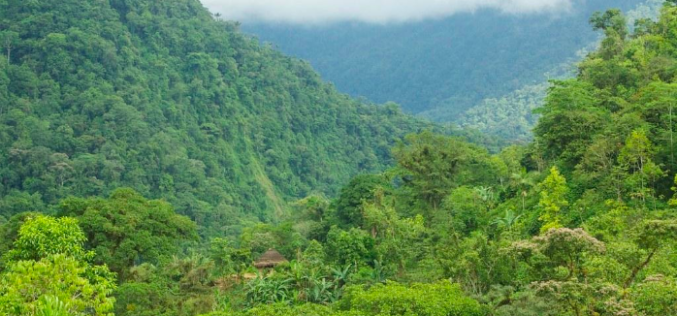 Hope for Growth? The Potential and Pitfalls of Ecotourism in Colombia