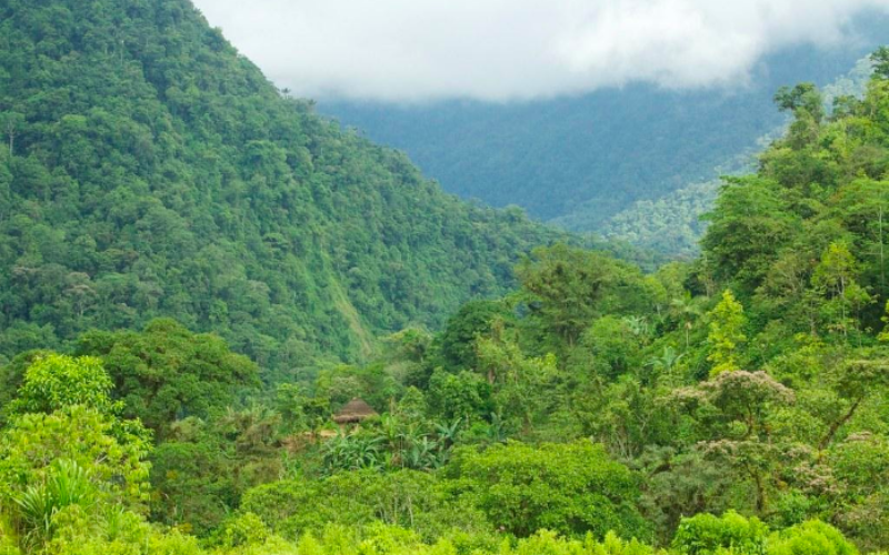 Hope for Growth? The Potential and Pitfalls of Ecotourism in Colombia