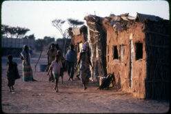 Is Climate Change Fuelling Al-Shabaab’s Resurgence in Somalia?
