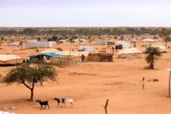 Africa’s Crime-Terror Nexus: Transnational Organised Crime, Illicit Economic Networks and Violent Extremism in the Sahel