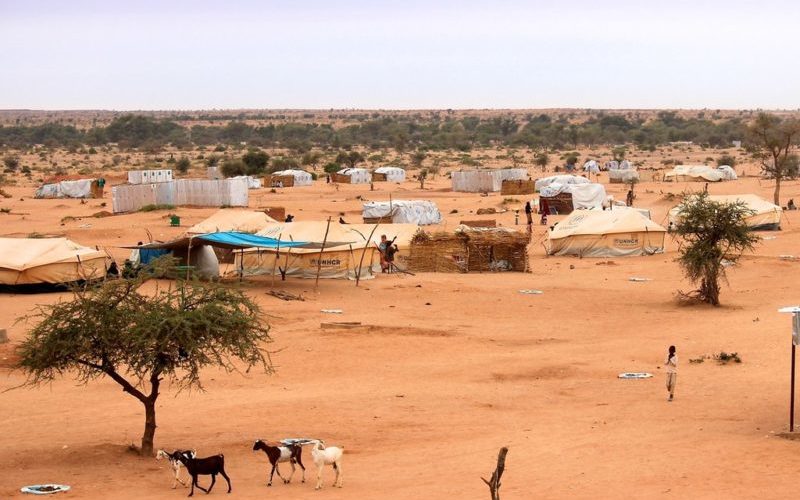 Africa’s Crime-Terror Nexus: Transnational Organised Crime, Illicit Economic Networks and Violent Extremism in the Sahel