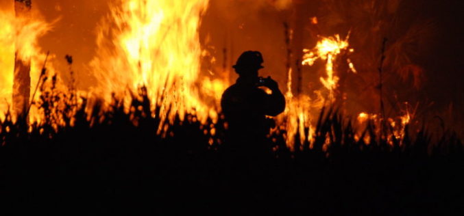 European Union: Wildfires Ask Burning Questions on Disaster Prevention