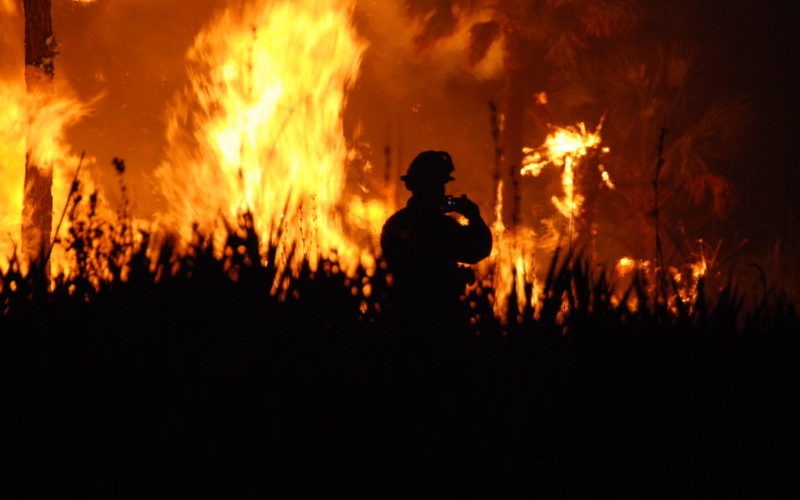 European Union: Wildfires Ask Burning Questions on Disaster Prevention