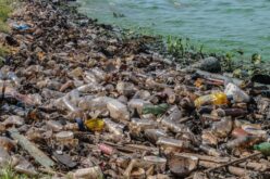 Opinion: Environmental Crime: A Global Threat to Our Planet