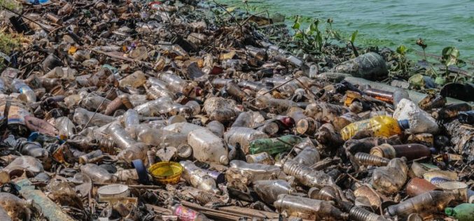 Opinion: Environmental Crime: A Global Threat to Our Planet