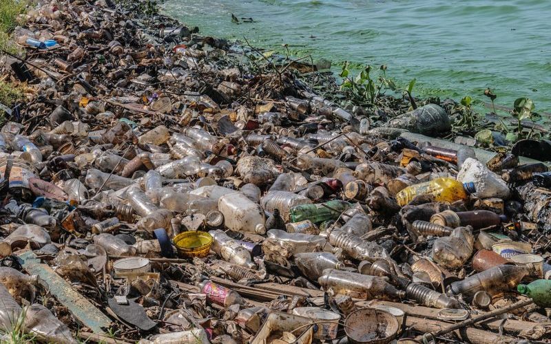 Opinion: Environmental Crime: A Global Threat to Our Planet