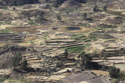 Can Climate Action Save Castillo’s Faltering Peruvian Presidency?