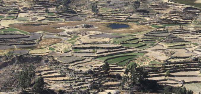 Can Climate Action Save Castillo’s Faltering Peruvian Presidency?