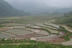 Is food insecurity a looming eventuality in China’s future?