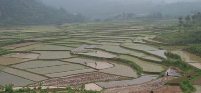 Is food insecurity a looming eventuality in China’s future?