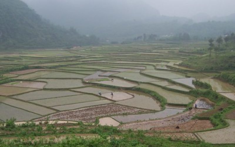 Is food insecurity a looming eventuality in China’s future?