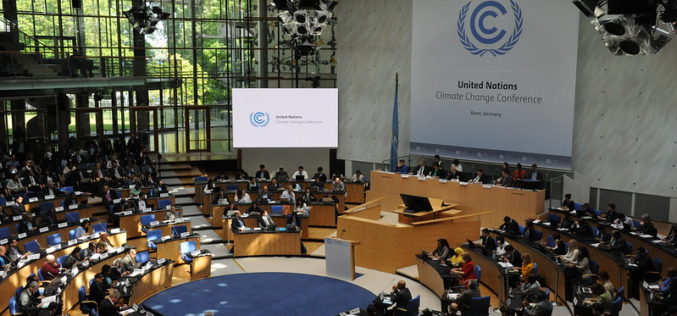 The Role of International Organizations in Climate Governance