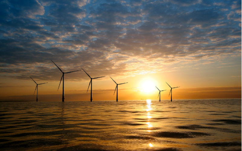 UK Conservative Leadership: Climate Policy?